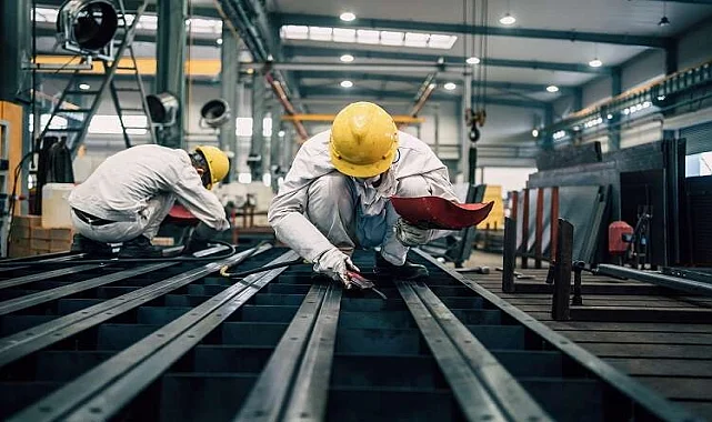 Bayraklı Fare İlaçlama